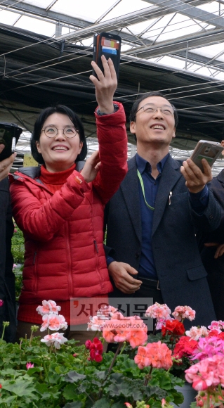 스마트 시설원예 설명회에 참가한 지자체 농업기술센터 직원들이 스마트폰을 이용한 온실 개폐 시연을 해 보고 있다. (이천 하일꽃농원)