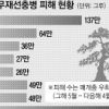 전문가 “소나무 살릴 마지막 기회… 방제체계 개선 시급”