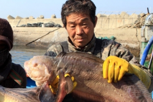 탕 끓여 드시면 맛있어요~