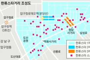 [현장 행정] 엑소·비스트…★ 보이는 강남 관광객이 몰리다