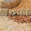 귀리효능, 장윤정 15kg 감량…남성 불타오르는 성분있다?