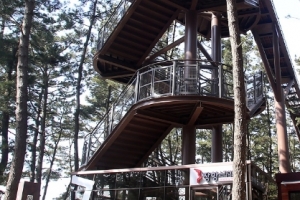 충남 서천군, ‘장항 스카이워크’ 다음달 3일부터 무료로 시범 운영