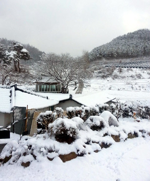 ‘봄 시샘하는 폭설’ 장수 10.5㎝ 쌓여