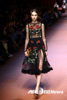 2015/16 F/W 밀라노 여성복 패션위크 5일차인 1일(현지시간) 한 모델이 명품 브랜드 돌체&가바나의 꽃을 모티브로 한 의상을 선보이고 있다.<br>ⓒAFPBBNews=News1