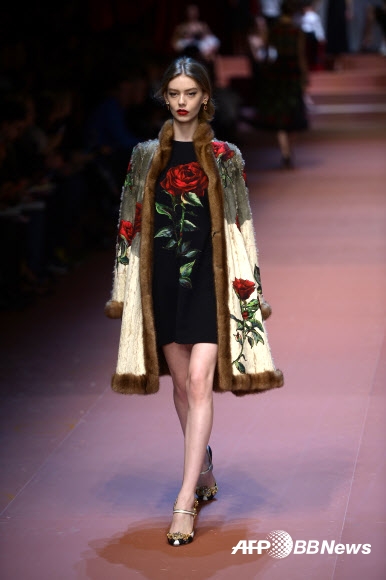 2015/16 F/W 밀라노 여성복 패션위크 5일차인 1일(현지시간) 모델 코코 로샤가 명품 브랜드 돌체&가바나의 꽃을 모티브로 한 의상을 선보이고 있다. ⓒAFPBBNews=News1
