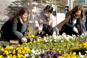 봄 맞이 꽃밭 만들기… 사람이 꽃보다 아름다워요