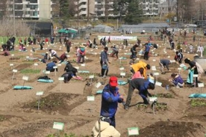 풍년 농사법 배워볼까