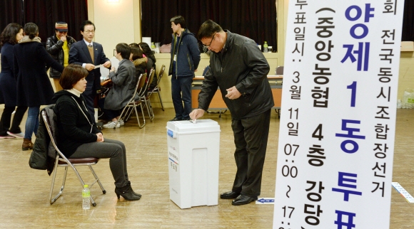 제1회 전국동시 조합장 선거가 치러진 11일 서울 광진구 중앙농협에 설치된 투표소에서 조합원들이 소중한 한 표를 행사하고 있다. 정연호 기자 tpgod@seoul.co.kr