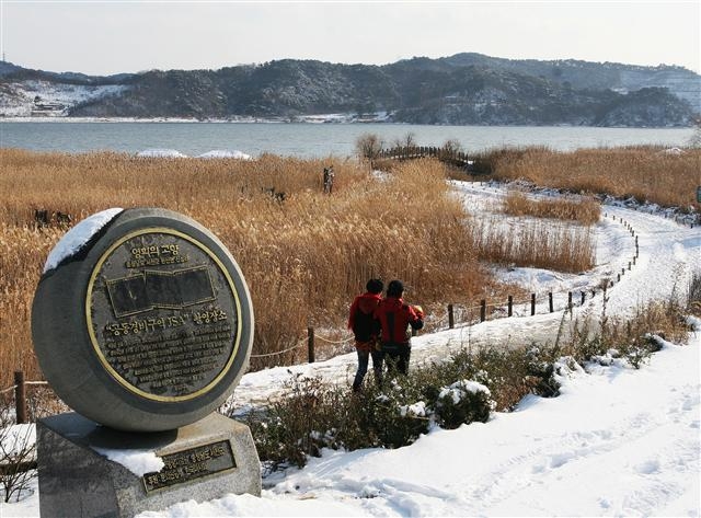 신성리 갈대밭 겨울 풍경