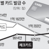 체크카드 1억장… 신용카드 추월
