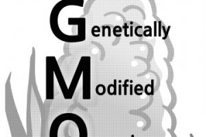 [교과서 속 GMO] 밥상은 ‘점령’ 밥상 교육은 ‘전무’