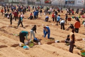 [도심 속 전원생활 누려볼까] ‘실전’…도봉, 친환경 나눔텃밭 4448㎡ 분양