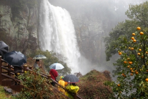 [포토] 한라산 폭우 장관 이룬 엉또폭포