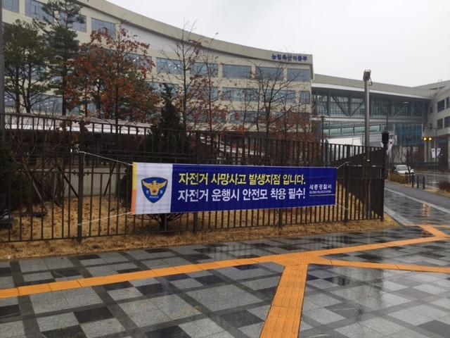 지난 18일 정부세종청사 농림축산식품부 앞 사거리에 자전거 사망 사고 발생 지점을 알리는 플래카드가 나붙었다. 세종시에서 관리하는 공공자전거 대여소에는 안전모가 비치돼 있지 않다. 이 교차로에서 지난 6일 현직 여성 공무원이 교통사고로 목숨을 잃었다.  세종경찰서 제공