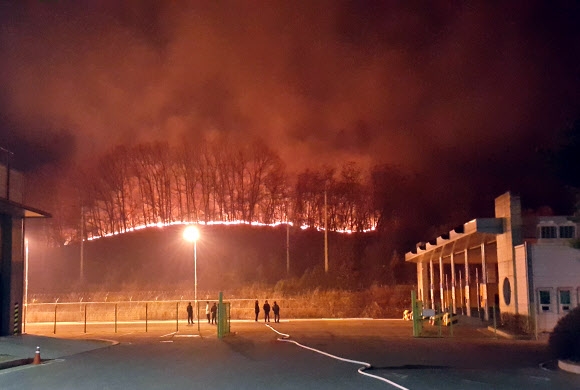 밤에도 꺼지지 않는 DMZ 산불