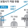 보험 사기로 6000억 빠져나가…14년 만에 최대