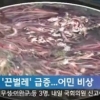 끈벌레 한강 하류대량 출몰, 끈처럼 생긴 벌레..생김새 ‘소름’ 어떤지 봤더니..
