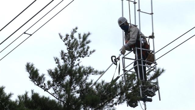 한국전력 직원이 자사가 지난해 세계 최초로 개발한 수목전지용 전동카트를 타고 송전선로까지 자란 나뭇가지를 절단하는 모습. 한국전력 제공