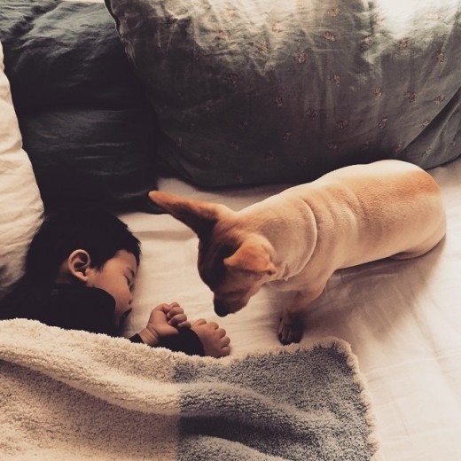 유지태 김효진, 아들 최초 공개