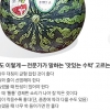 수박 꼭지 논쟁… 꼭지 도는 소비자