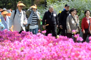 소중한 추억 간직하기 위한 걸음