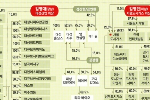 [재계 인맥 대해부 (4부)뜨고 지는 기업&기업인 <11>대성그룹] 연탄회사서 출발 에너지산업 산증인… ‘한 우물 경영’ 변화 모색