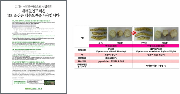 ’가짜 백수오’ 논란을 둘러싸고 한국소비자원과 백수오 원료 공급 업체인 내츄럴엔도텍 간의 진실공방이 수그러들지 않고 있다. 앞서 소비자원은 내츄럴엔도텍이 식용이 금지된 이엽우피소를 사용했다고 밝혔고, 가짜 백수오 논란에 주가 폭락이라는 직격탄을 맞은 내츄럴엔도텍은 소비자원의 검사 방식에 문제를 제기하며 정면으로 맞선 형국이다. 왼쪽은 27일 종합 일간지에 실린 내츄럴엔도텍의 전면광고, 오른쪽은 한국소비자원에서 배포한 백수오와 이엽우피소를 비교한 자료.  연합뉴스