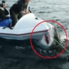 소형보트 공격하는 6m 거대 백상아리 ‘아찔’