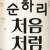 ‘처음처럼 순하리 유자맛’ 품절 사태… 소주계 ‘허니버터칩’으로 등극