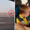 아부다비 고속도로서 낙타 뒤쫓는 주인 포착