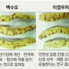 식약처 “내츄럴엔도텍 백수오 가짜” 결론