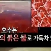 ‘서프라이즈’ 나트론 호수, 핏빛 호수의 정체는? ‘사진보니 끔찍’ 무슨 일?
