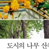 [책꽂이]