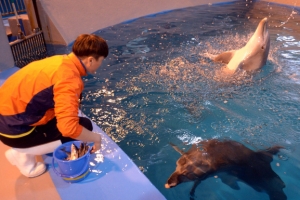 “태산아, 복순아, 제주 가서 잘 살렴~”