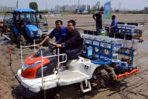 벼 직파 시연… “모내기만 있는 게 아닙니다”