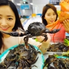 제철맞은 돌게·홍게 드세요~