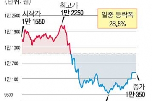 내츄럴엔도텍 ‘수상한 주가 흐름’