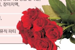 1000만 송이 ‘로즈 로드’ 사랑하는 이와 걸어 볼까
