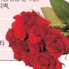1000만 송이 ‘로즈 로드’ 사랑하는 이와 걸어 볼까