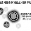치사율 40% 메르스 환자 국내 첫 발생