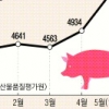 ‘金겹살’ 되나… 돼지고기값 고공행진