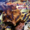제주 맹독성 문어 주의 “예쁘다고 만지면 안돼요” 절대 만지면 안되는 부위는?