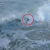 파도에 휩쓸리는 서퍼 포착한 드론 ‘아찔’