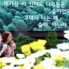 광화문 글판, ‘제가끔 서 있어도 나무들은 숲...그대와 나는 왜...”