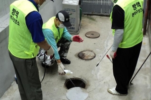 출동! 모기박멸단…관악, 9월까지 주민과 함께 해충 방역