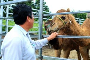 서울시 주관 행사 모두 연기… 재건축 총회 참석자 1대1 관리