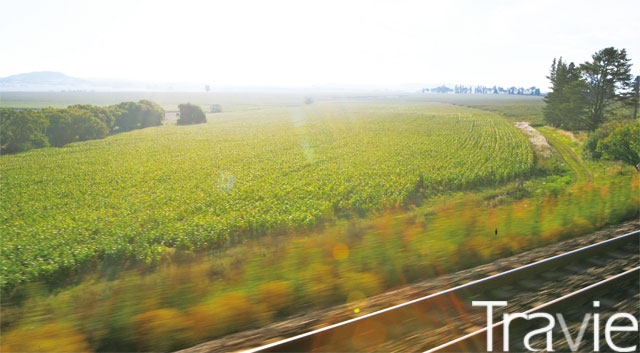 로보스 열차에서 지낸 2박3일 동안 펼쳐지는 창밖 풍경은 눈도 마음도 시릴 만큼 아름답다