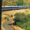 해외여행 | 남아프리카를 달리는 럭셔리 열차①블루 트레인 The Blue Train