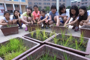 “벼, 이렇게 생겼구나”