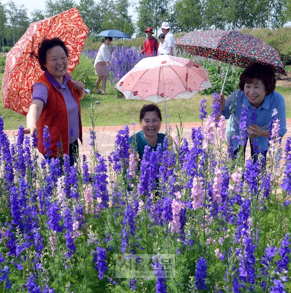 보랏빛 향기 물든 환한 웃음